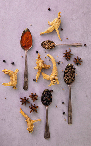 What are gin Botanicals?